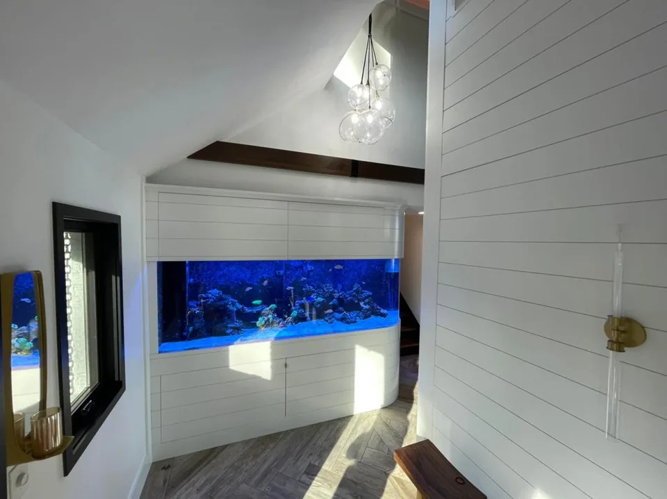 Large built-in saltwater aquarium set into a curved white shiplap cabinetry surround in a vaulted hallway.